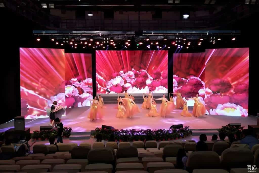 What Is a Stage Screen? A Detailed Definition